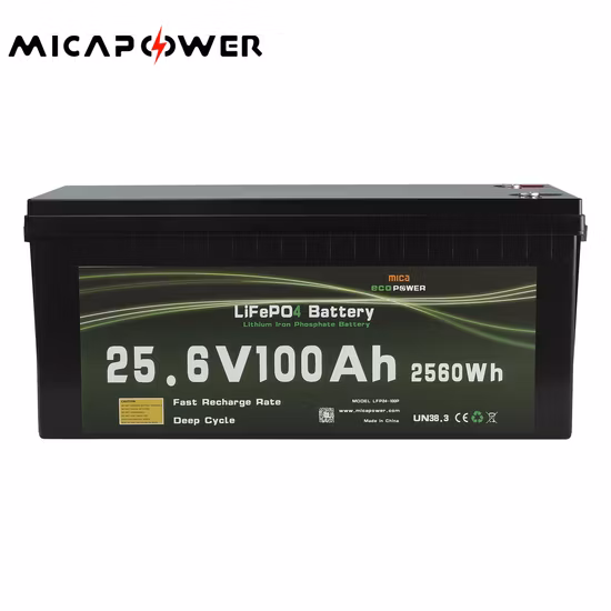 12V 24V Lithium Battery 100ah 200ah 300ah 50ah 12V/24V LiFePO4 Battery for Solar Factory Price