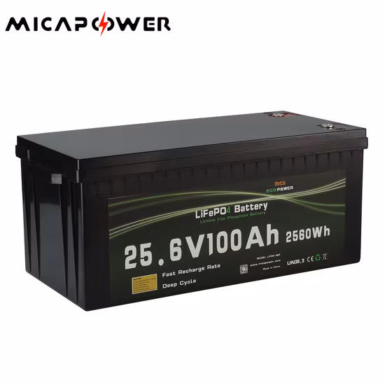 12V 24V Lithium Battery 100ah 200ah 300ah 50ah 12V/24V LiFePO4 Battery for Solar Factory Price