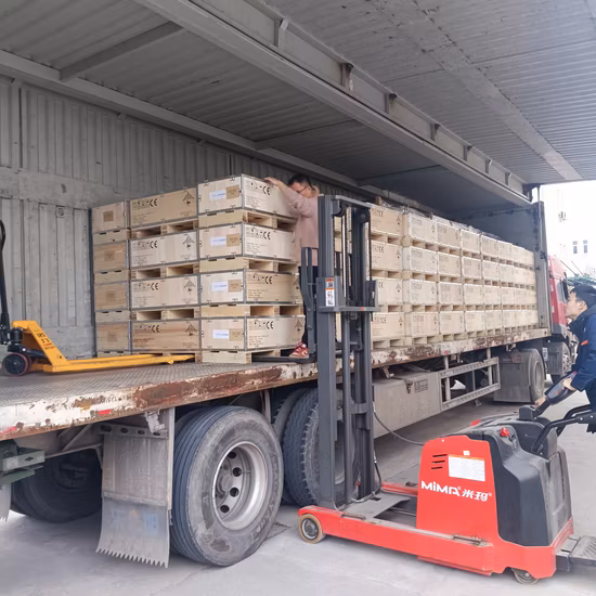 Deep Cycle wiederaufladbare 12 V 24 V 100 Ah 200 Ah 300 Ah Solar LFP LiFePO4 Li-Ionen-Energiespeicher Gabelstapler Elektrofahrzeug UPS Golf Eisenphosphat-Lithium-Ionen-Batterie